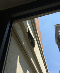 �յ�ʦ����װ���ǽ��������