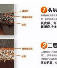 沙发的选择,剖析真皮布艺功能三种沙发