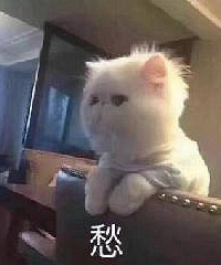 室友一个月不洗澡,快把我熏晕过去!我该怎么办?