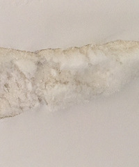 ��װ�ް���� ����Ϳ�ʼ�¡�ѩ����