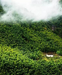 90后姑娘隐居山林,仅花6万打造300㎡别墅