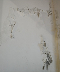 ���ǽ����ֲ�