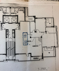 ���û�԰��337ƽ��������ִ���Լ