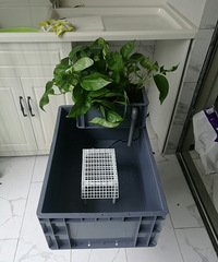 ���ڹ������˸���ʽ����ˮѭ���� ��ʤ����ˮ��