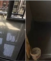 ��ŵװ������Ѳ�� ǽ�����Ҫ��������Ĥ