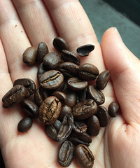 ���ڵĿ��ȶ� �бȵ������õĴ�����ʽ��