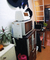 �����˼Ҹ�װ8�O������