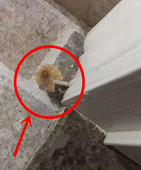 ڵ÷꼾װѣĹҲ̫ʱˣ