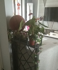 ��������һ������ ������ϣ�Ч������