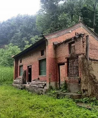 那个辞职隐居终南山的姑娘,付不起房租又回来了
