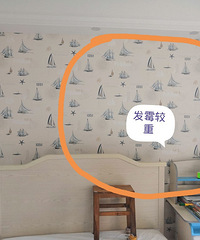 ÷�꼾���˷��ֶ�ͯ����ͷǽֽ�ö�ù�㣬��ô�죿