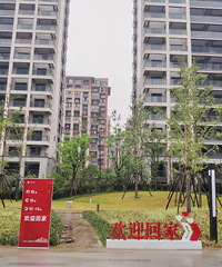 买下人人称赞网红盘的房子,结果连地板都铺不了