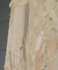 ����������ô���������?���׾�Ȼ���6.5��