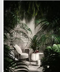 �þ���Է120�O��լ�������紦��ɭ����