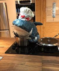 ȫ��������˼�С�����ֻ��ˣ����ѣ����������ֳ����ǼҾӵ�