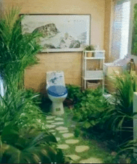 �����鹫Ԣ5����Ժ���ʽ��װ�ޣ�û����ɳ��ֻ�и�ɳ��