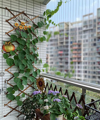 60㎡小家的工作区,每天996又何妨!