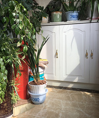 ��̨�������Ҽҵ��ϰѡ��������÷��ģ�