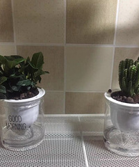 ƽʱ�Ͱ�������Щ���ݣ���������լ�Ұ�Ū������ĥʱ��