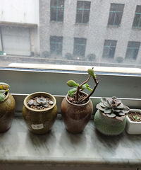 �����������µģ���Ȼ���ڿ�ʼ��ǽ��