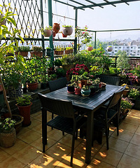 ��͡����������֮�䣬ֻȱһ����̨