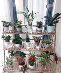 �ỻ�����޸�����裬�����ֲ�ﶼ������������