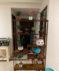 �ỻ�����޸�����裬�����ֲ�ﶼ������������