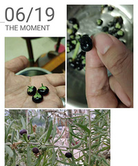 ��95%��̨������ɹ�·�������5%�ÿ��ֺó�