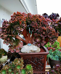 �ᰮ��ʦ���Ϲ���ÿ������6��������ȥߣҶ