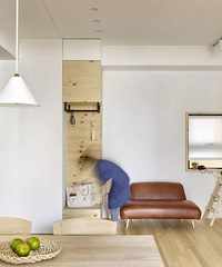 100ƽ����ʽ������ң������ʸ�