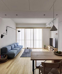 100ƽ����ʽ������ң������ʸ�