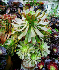 �ᰮ��ʦ���Ϲ���ÿ������6��������ȥߣҶ