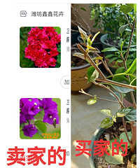 ��ɹ�������������������˾��ǲ�����