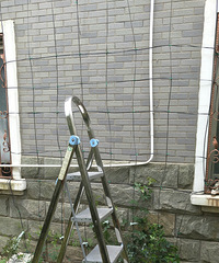 ��Ǿޱ���˸����ټܣ����Ŵ�̫���ֶ��������ü���