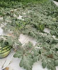 10平方入户线接线