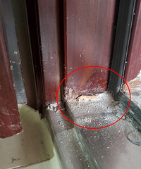 ���鷿��һ�ڡ���30��һ���������ǰ���Ķ�Է