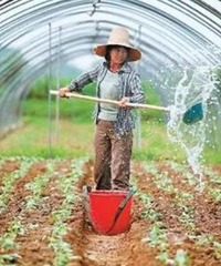 施肥、肥料用不对,你再努力也白费!永春碳基肥教你施肥技巧