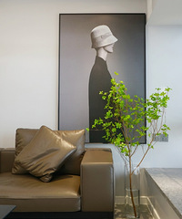 ��Ʒ��װ�Ρ� ���� | Ҷ�ӵļ� | Home to plants