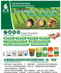 芹菜高产的秘诀——施永春碳基肥+田间管理得当