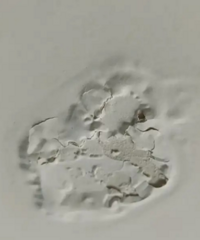 �컨��ĳ�������©ˮ���ǵ�ʱ�齺��û�����ã�