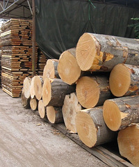 ʵľ�Ҿ���ôѡ�����˴�Ǯȴֻ��մ���