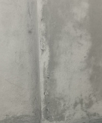 �Ź���ķ��ӣ��һ�7W���챻�²۱ȳ��ⷿ����