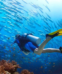 ʲô�����ڹ��Ժã�ʲô���ʵĴ����ڹ��Ժã�������