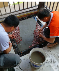 阳台准备贴鹅卵石,这个想法怎么样?