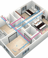 רҵȥ��ȩ������û��Ч�����������ס