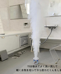 �������ֲݵ�12��������С�ʵ����������