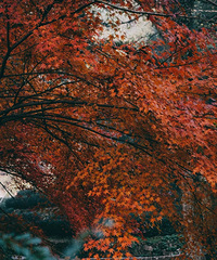 ˫11Ҫ٣ûʱȥɨ֣ǾͿϹƷģʽ~