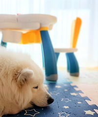 ������̽�����¼ҡ����Ļ�Է�������֮��