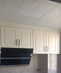 ������Է��Ӳװ��ɣ�������ۣ�1398Ԫ/�O