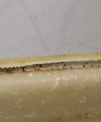 ��̨����������Ǽ�ש����